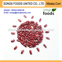 High quality light red kidney beans in chian